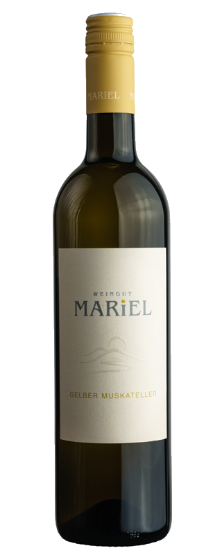 Gelber Muskateller