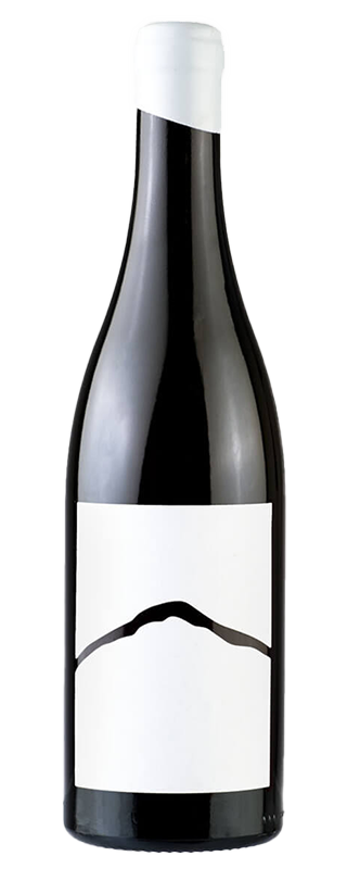 Muskat Ottonell Maische