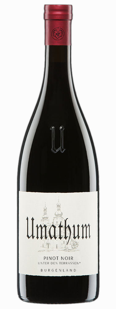 Pinot Noir Terrassen zu Jois