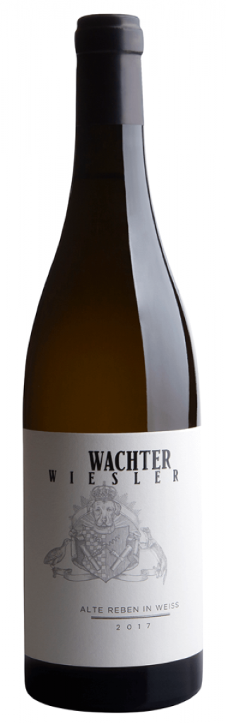 Alte Reben in Weiss